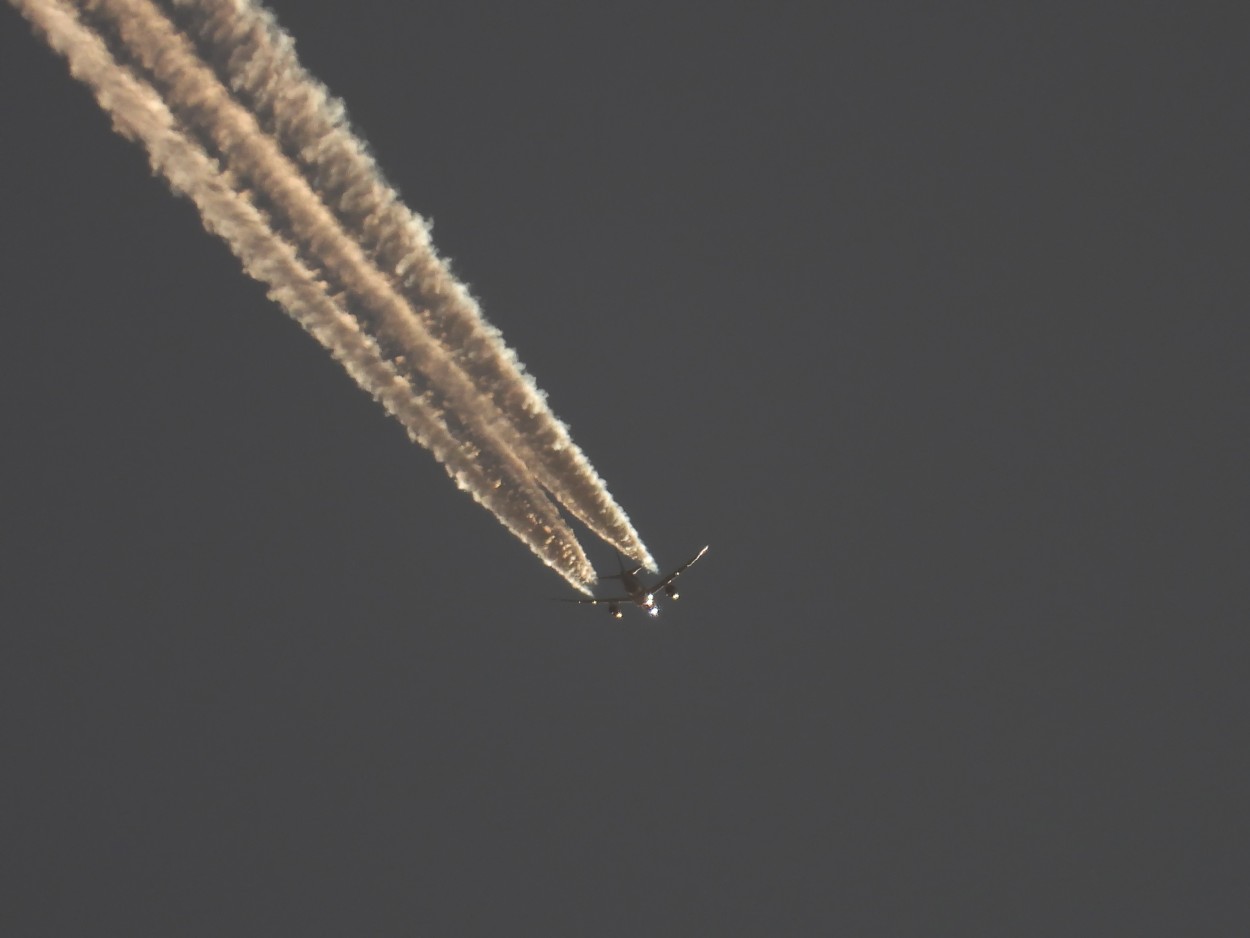 "a volar mi amor... vamos a volar..." de Mercedes Orden