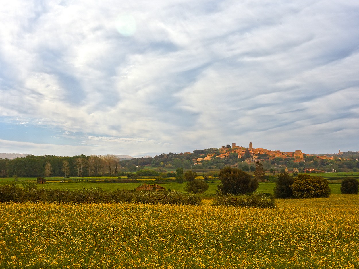 "Paisaje de Catalunia" de Gerardo Saint Martn