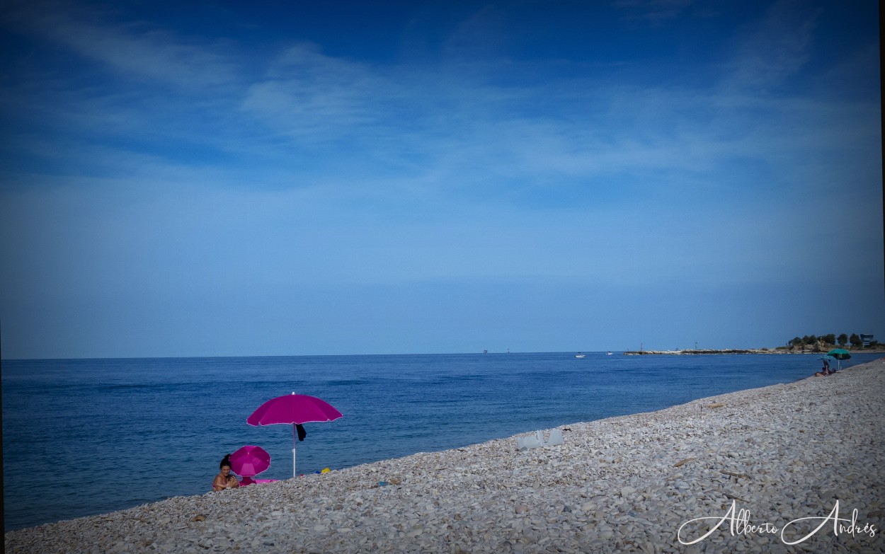 "la vie en rose" de Alberto Andrs Melo