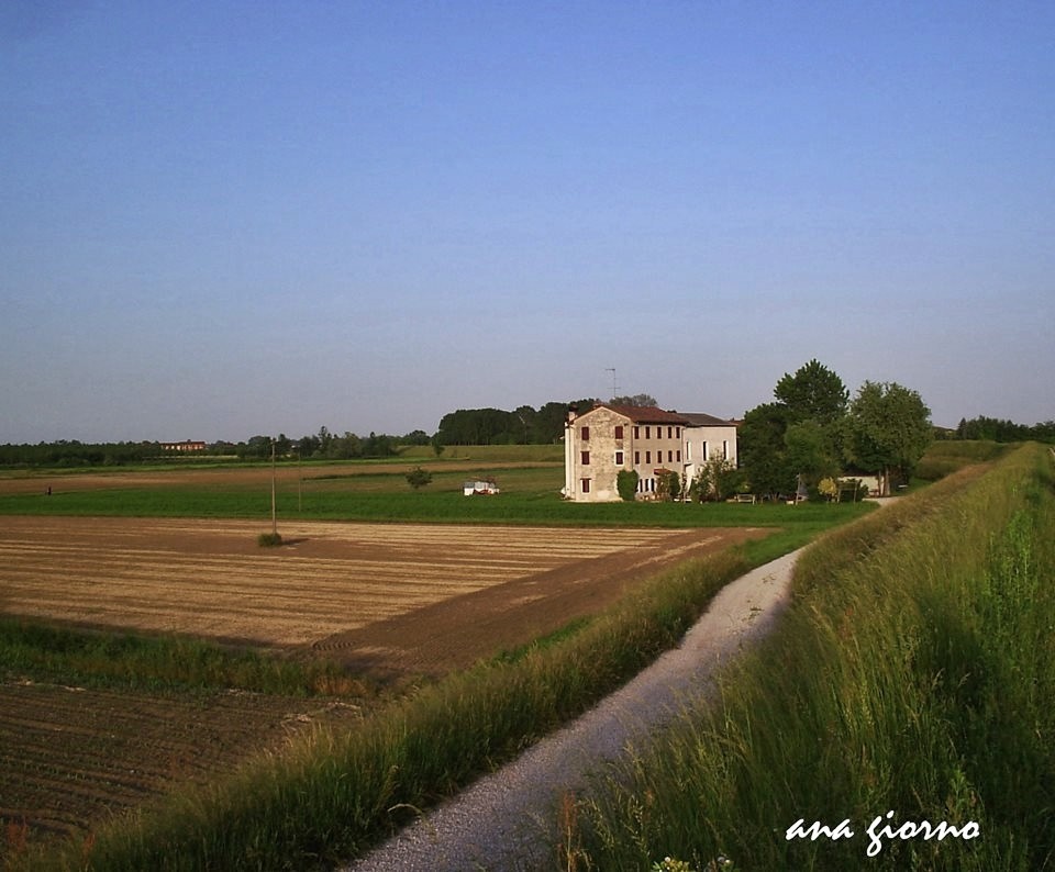 "Campo italiano" de Ana Giorno