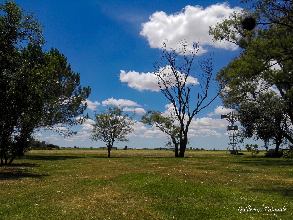 "de Campo" de Guillermo Daniel Pasquale