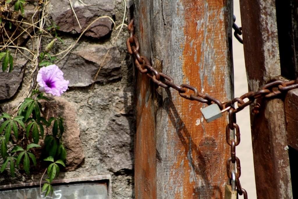 "Cerrado por derribo" de Alejandra Cormick