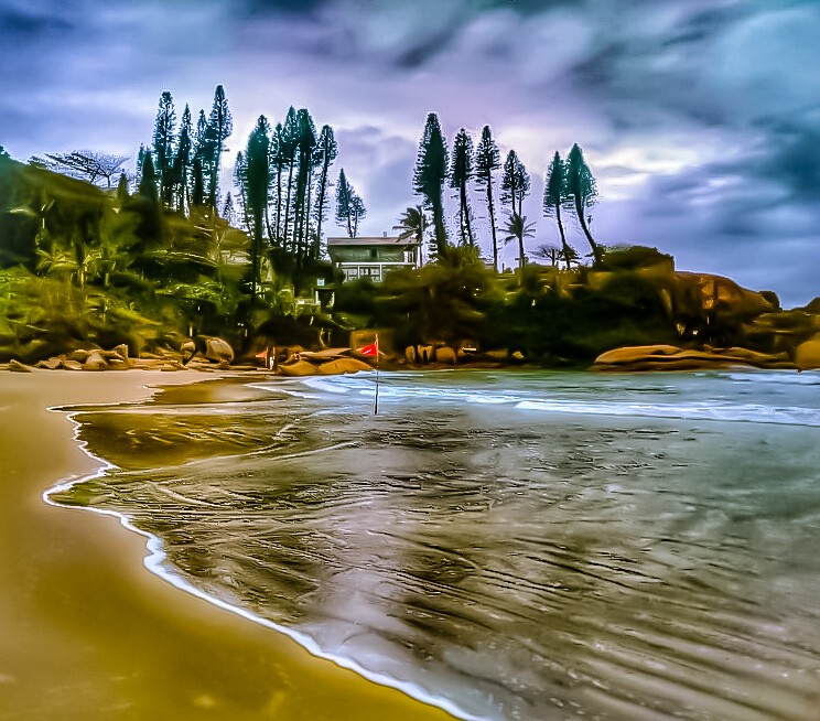 "Casa entre pinos y mar" de Roberto Guillermo Hagemann