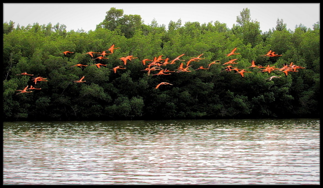 "Laguna de Guanaroca" de Laura Nardo