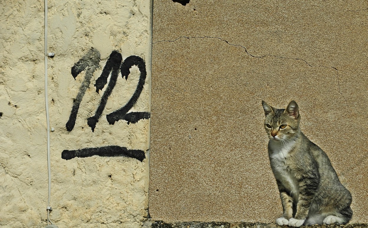 "Nmeros, texturas e um que acabou de acordar!" de Decio Badari