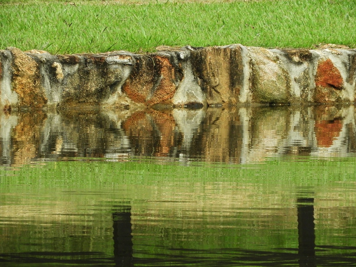 "Reflexos e texturas, neste meu olhar matinal" de Decio Badari