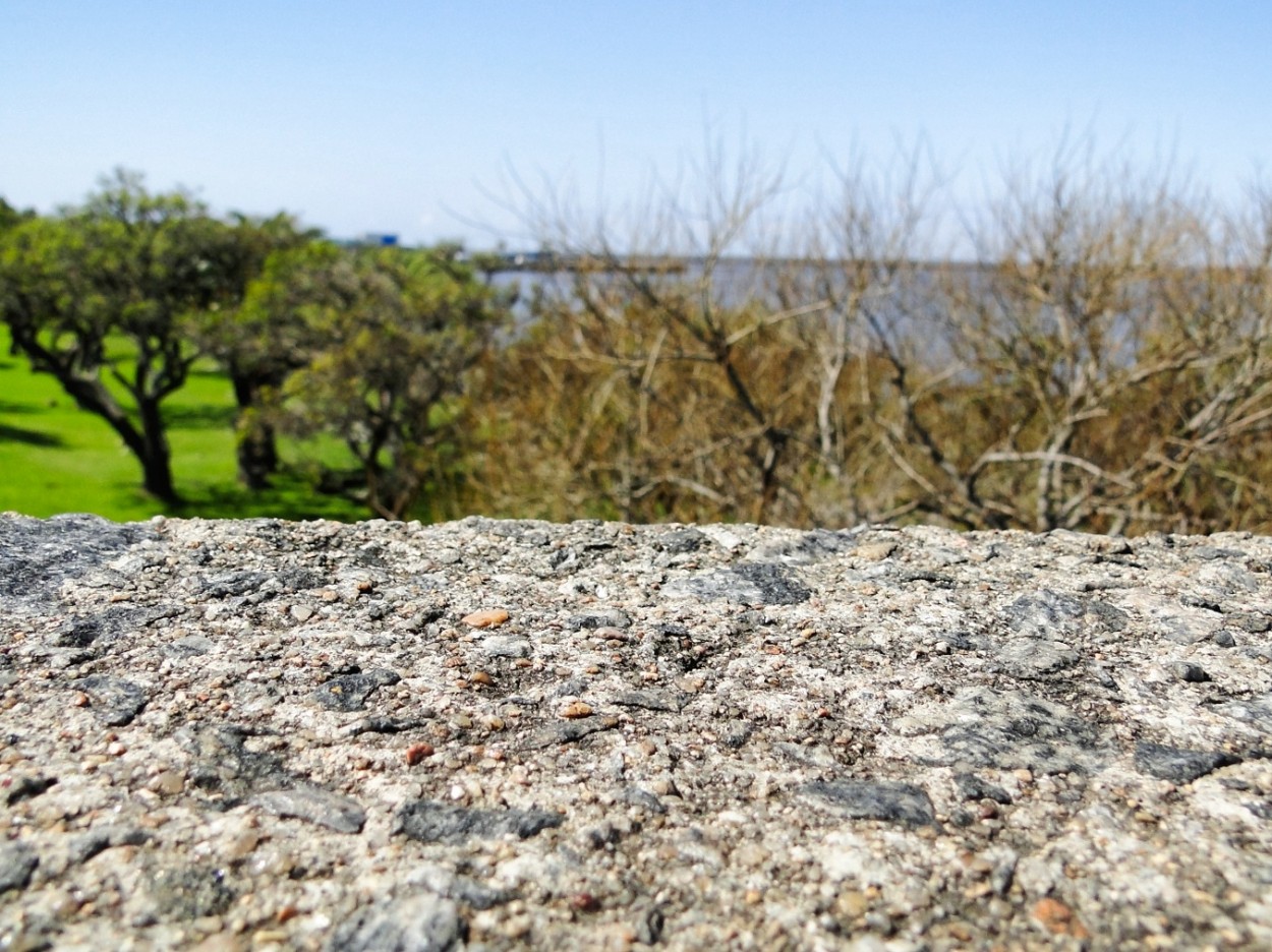 "Piedra" de Jorge Carlos Tarditi (carlos)