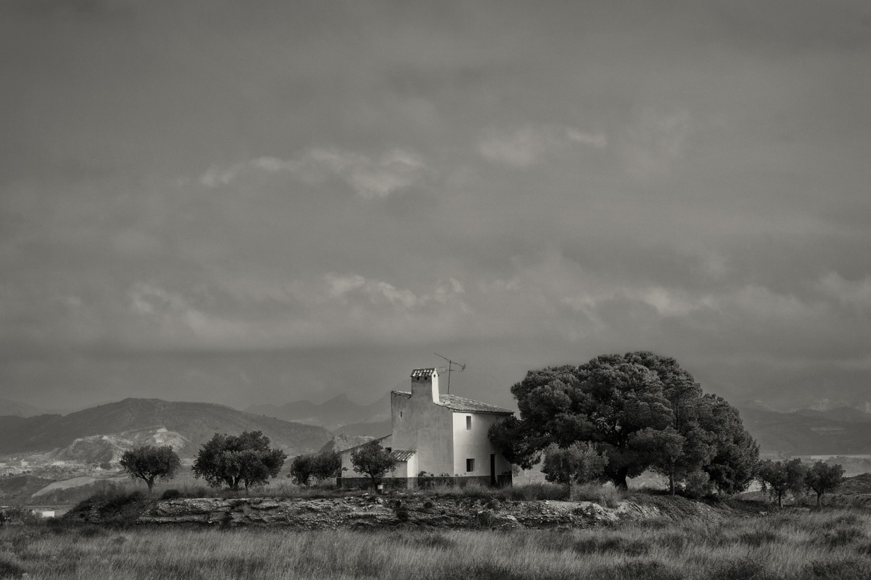 "nsula" de Francisco Jos Cerd Ortiz