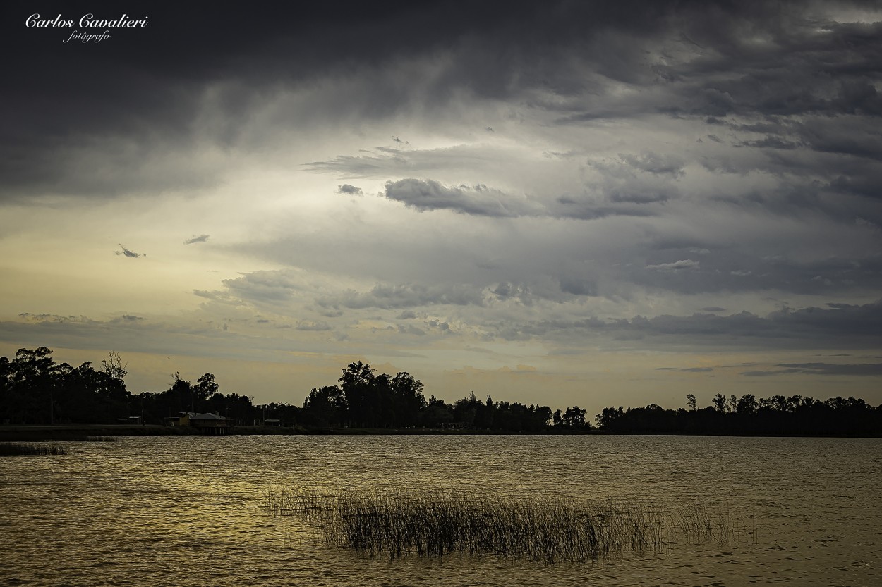 "Laguna de Lobos,Pcia de Buenos Aires" de Carlos Cavalieri