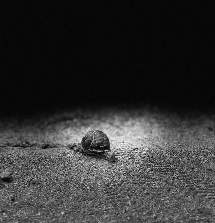 "En el camino" de Flor Delponti