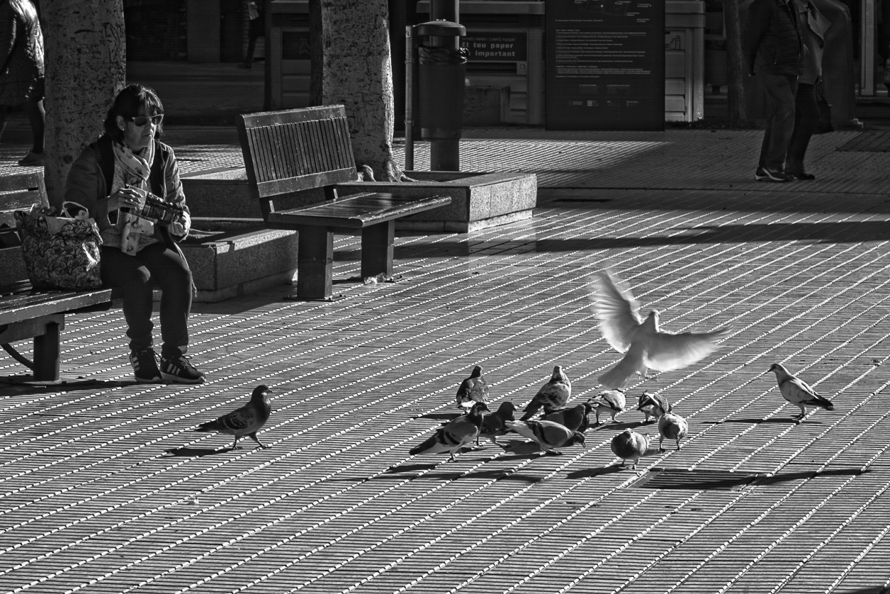 "Dando de comer a las palomas...." de Juan Beas