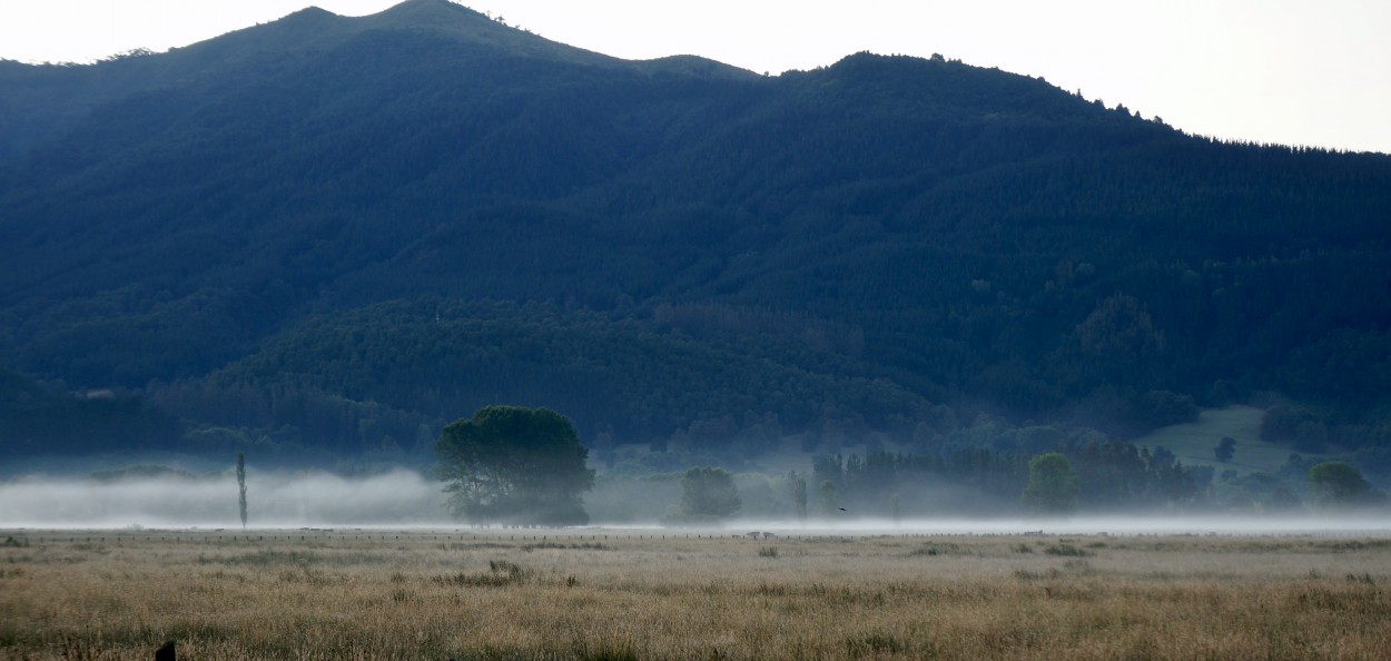 "Niebla" de Ruben Alex Villarroel