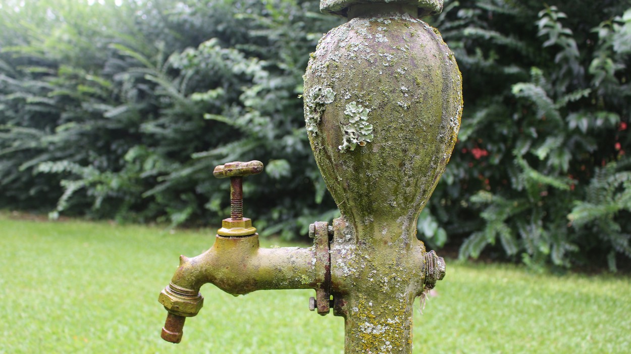 "Bomba de Agua" de Fernando Robledo