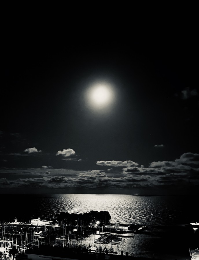 "Luz de luna" de Flor Delponti