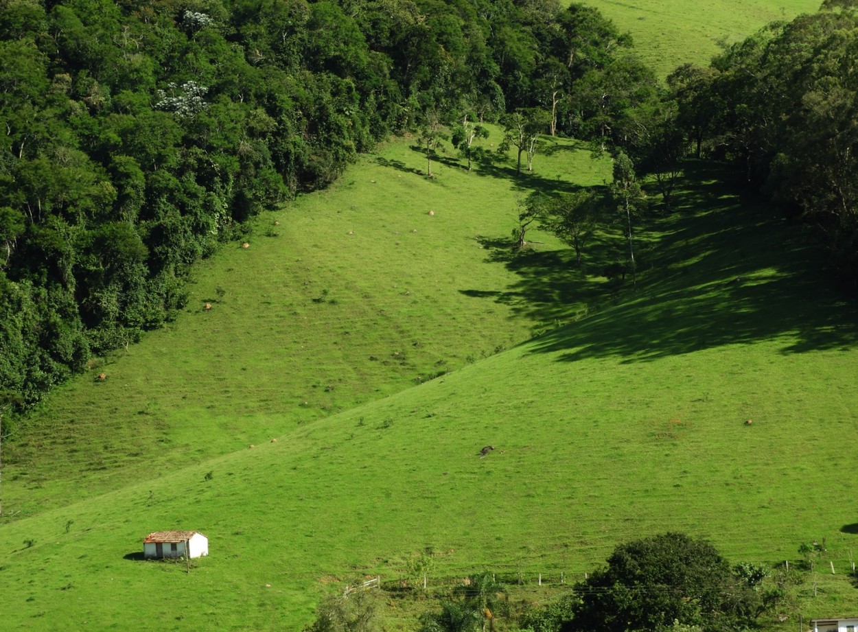 "Vivendo na natureza com o ar mais puro possvel!" de Decio Badari