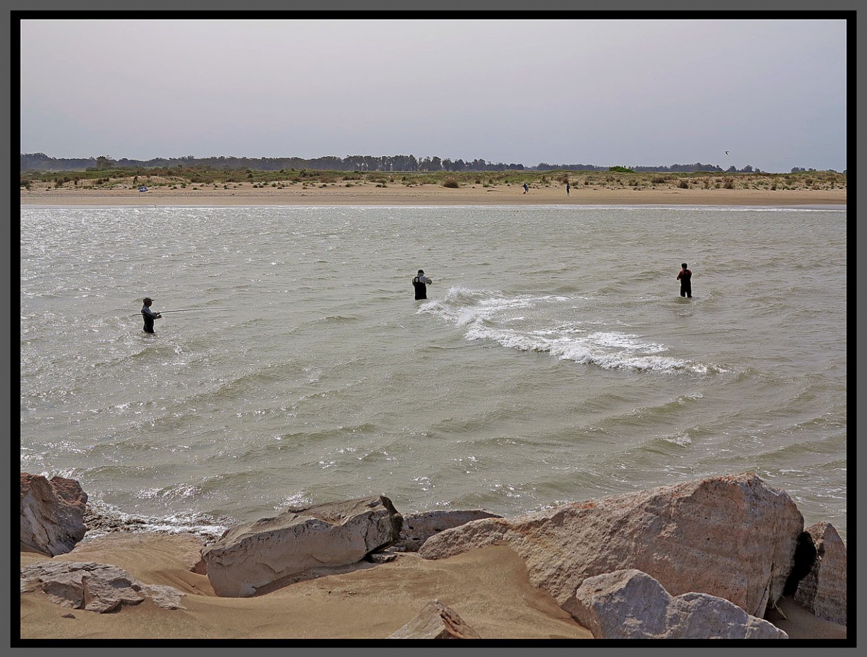 "Tres en la albufera" de Jorge Vicente Molinari