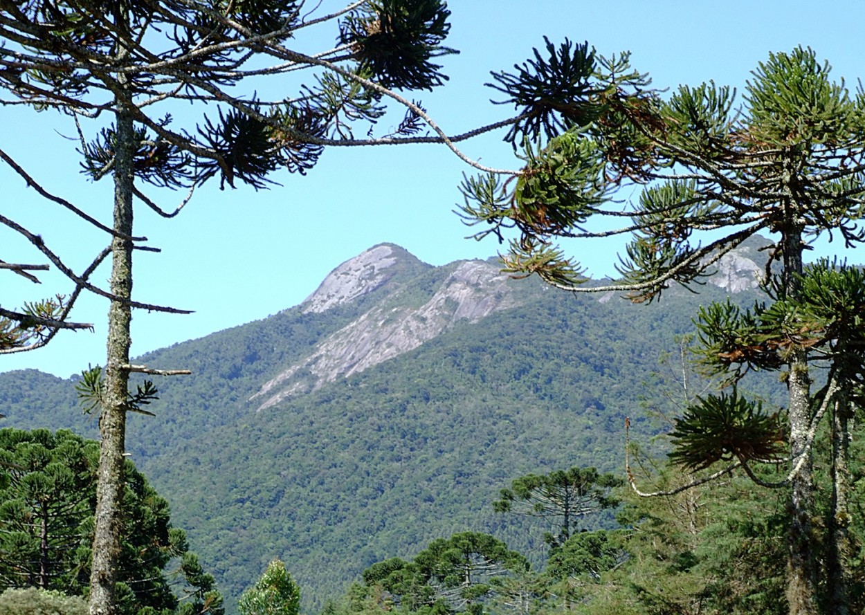 "Um passeio imperdvel,o Pico do Selado!" de Decio Badari