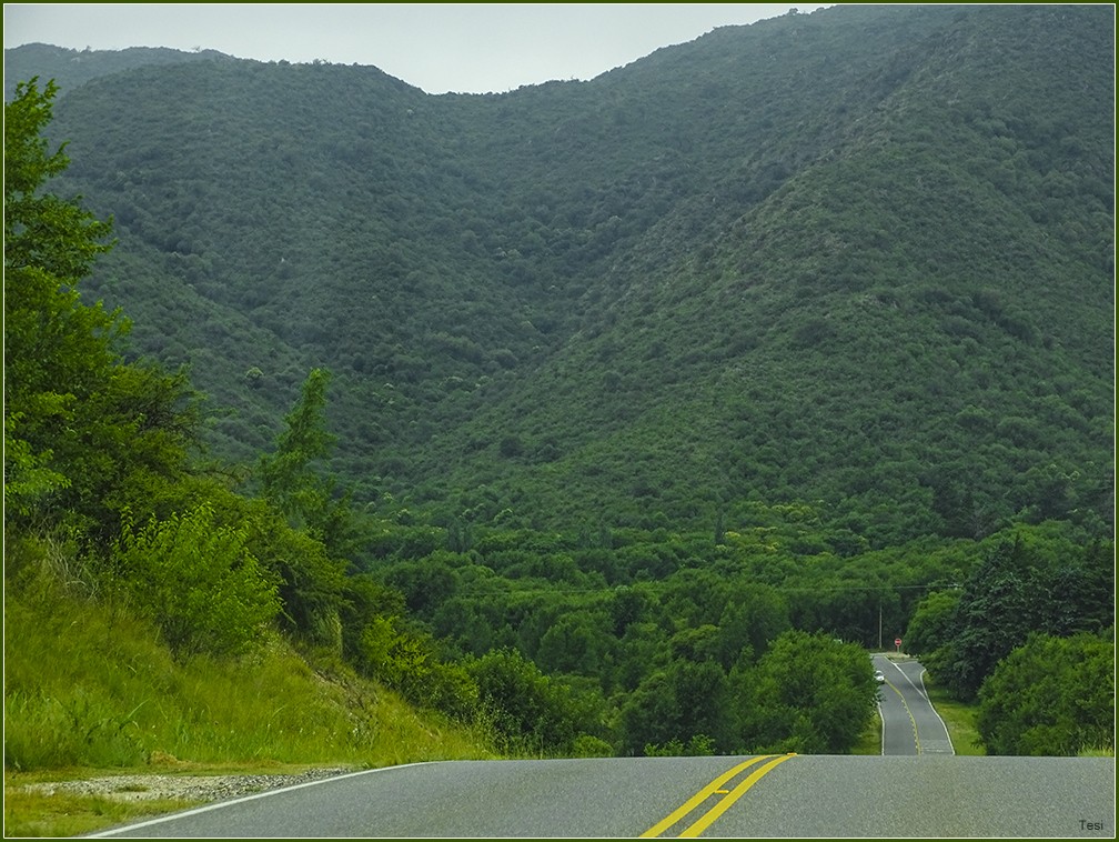 "Sierras de Crdoba" de Tesi Salado