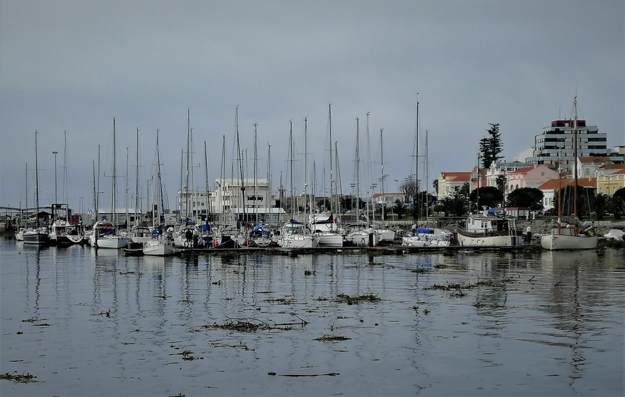 "Marina" de Maria Cristina de Castilho Brda