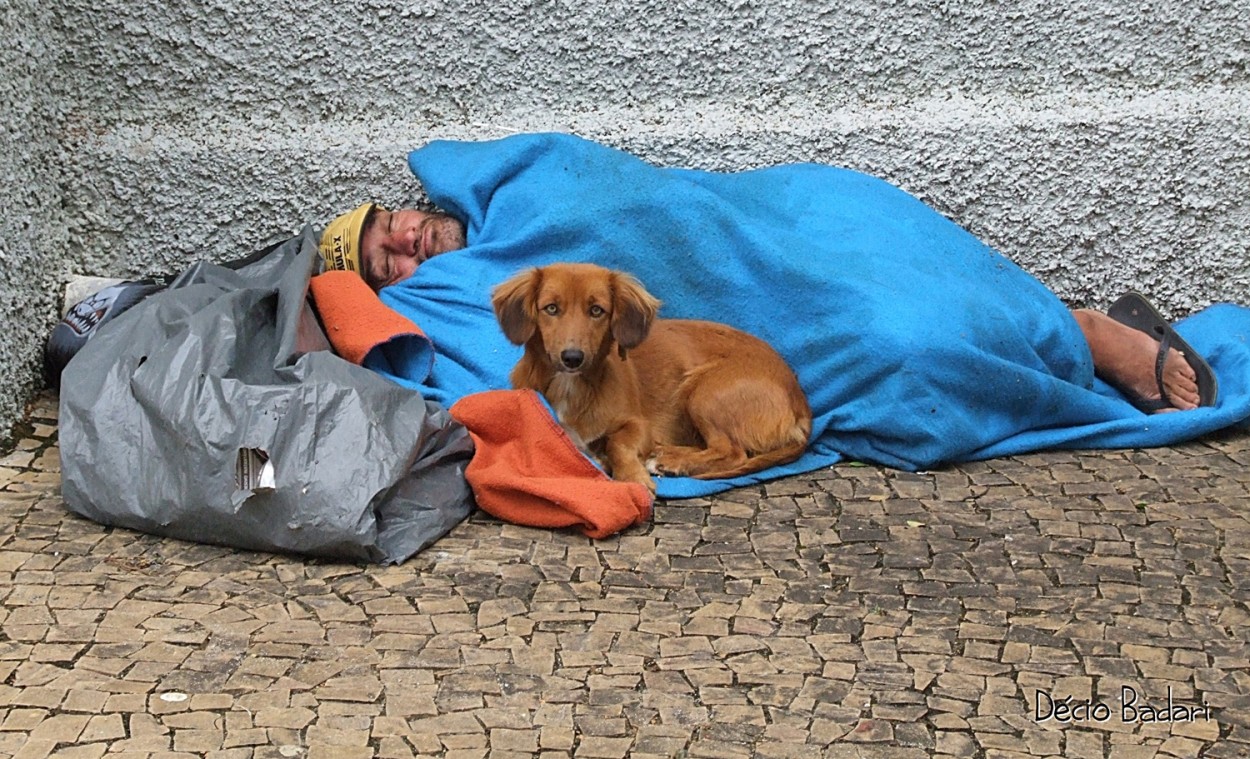 "O fiel e inseparvel amigo!" de Decio Badari