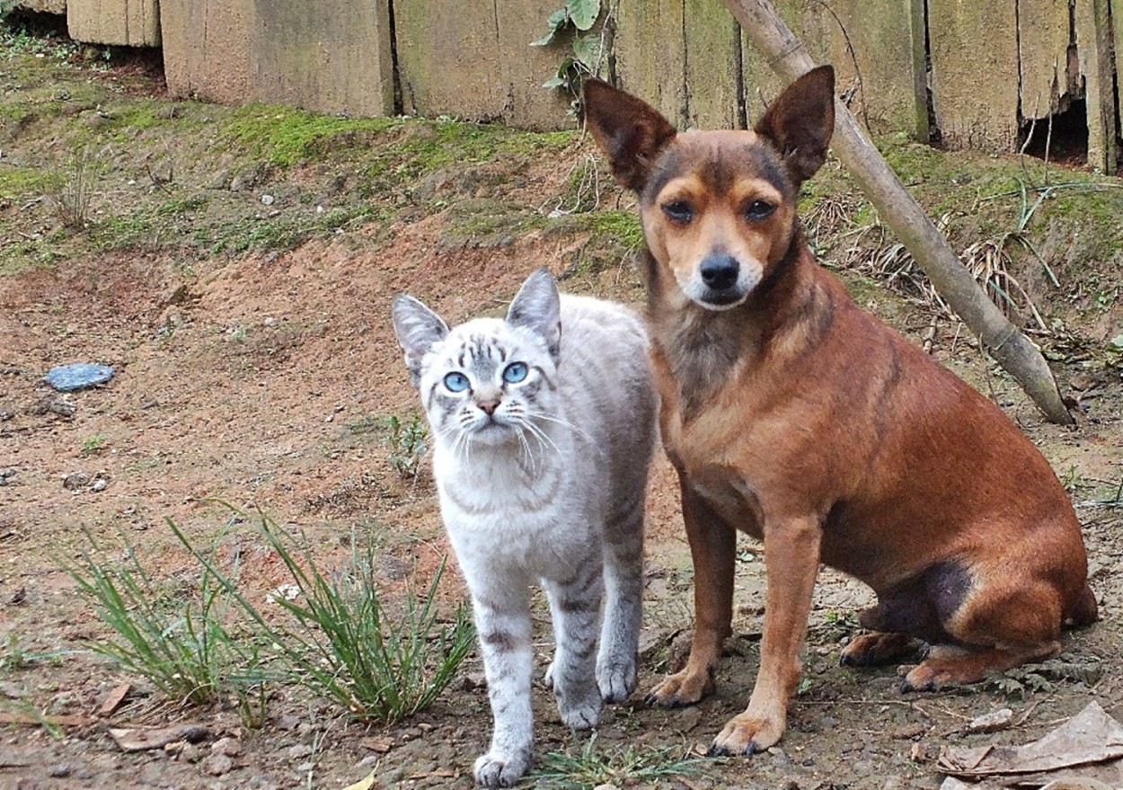 "Os amigos, em pose para os amigos da FotoRevista" de Decio Badari