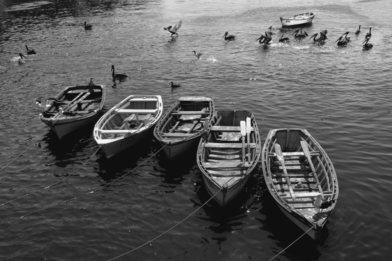 "Caleta Tumbes" de Osvaldo Sergio Gagliardi