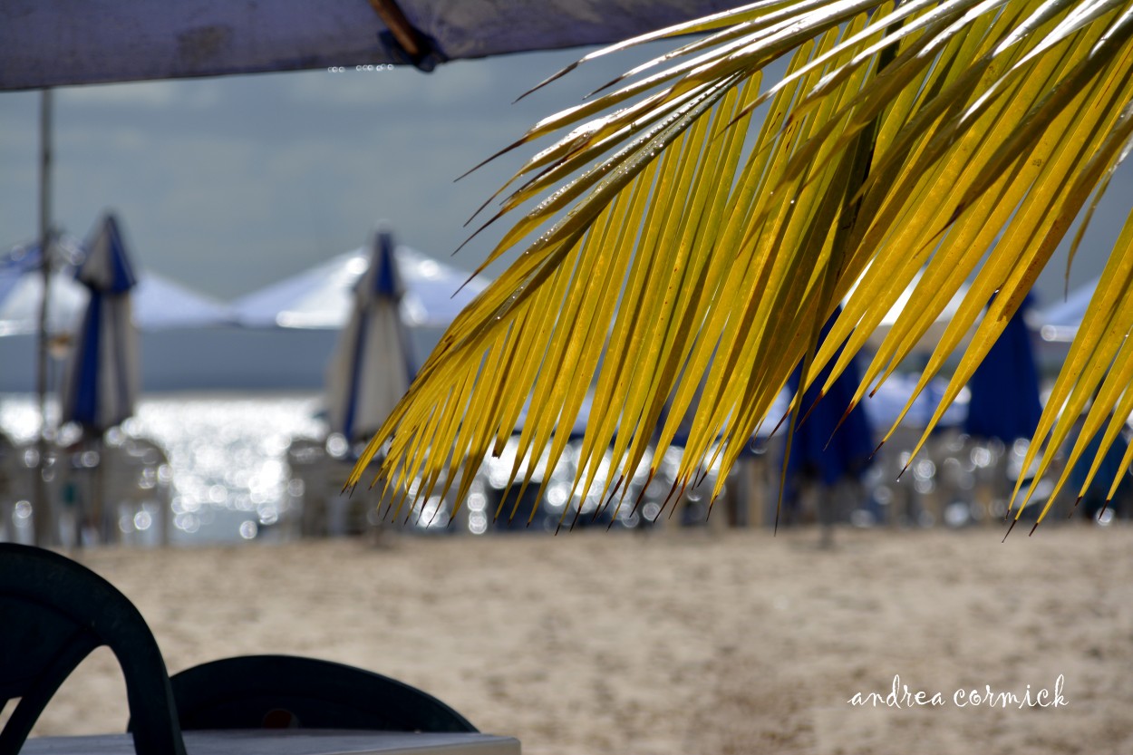 "despues de la tormenta..." de Andrea Cormick