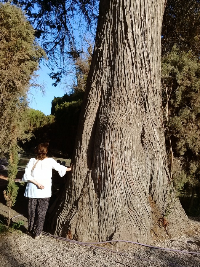 "`La grandeza de la naturaleza`" de Iris Elizabeth Scotto