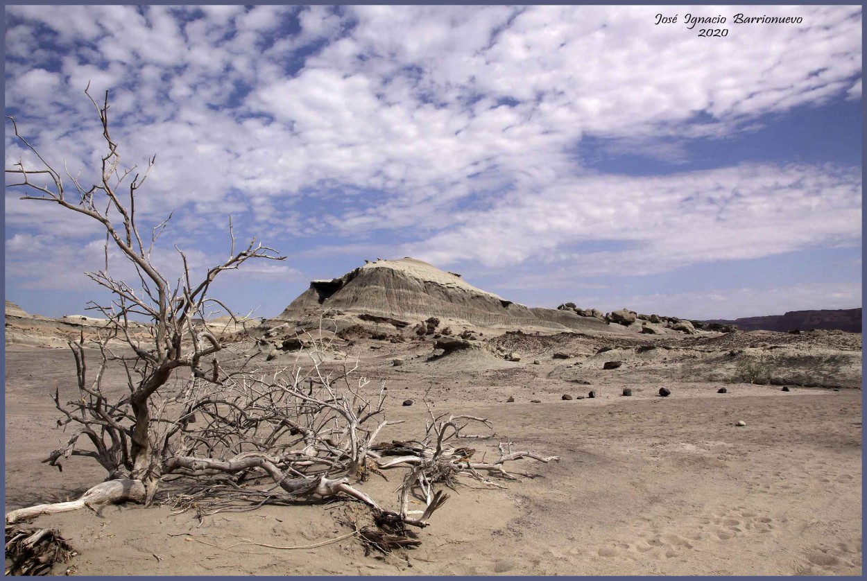 "Ischigualasto" de Jos Ignacio Barrionuevo