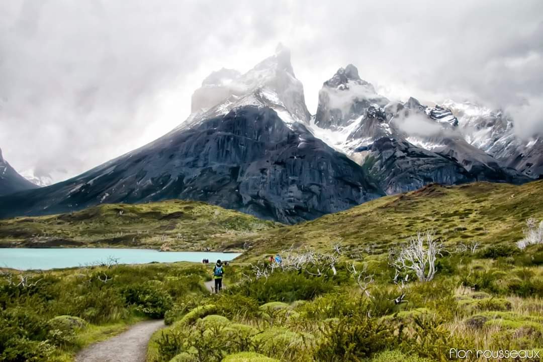 "Camino al Paine" de Mara Florencia Rousseaux (flor)