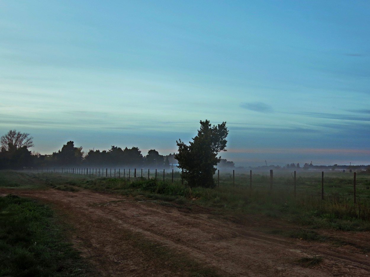 "amanecer de pampa y niebla" de Viviana Garca