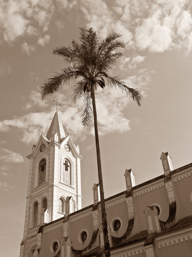 "E a palmeira vai disputando com a torre da igreja!" de Decio Badari