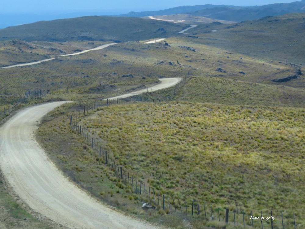 "Camino de sierras" de Lidia Gonzalez