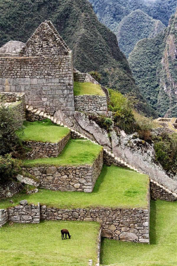 "Pastando en ruinas..." de Mario Abad