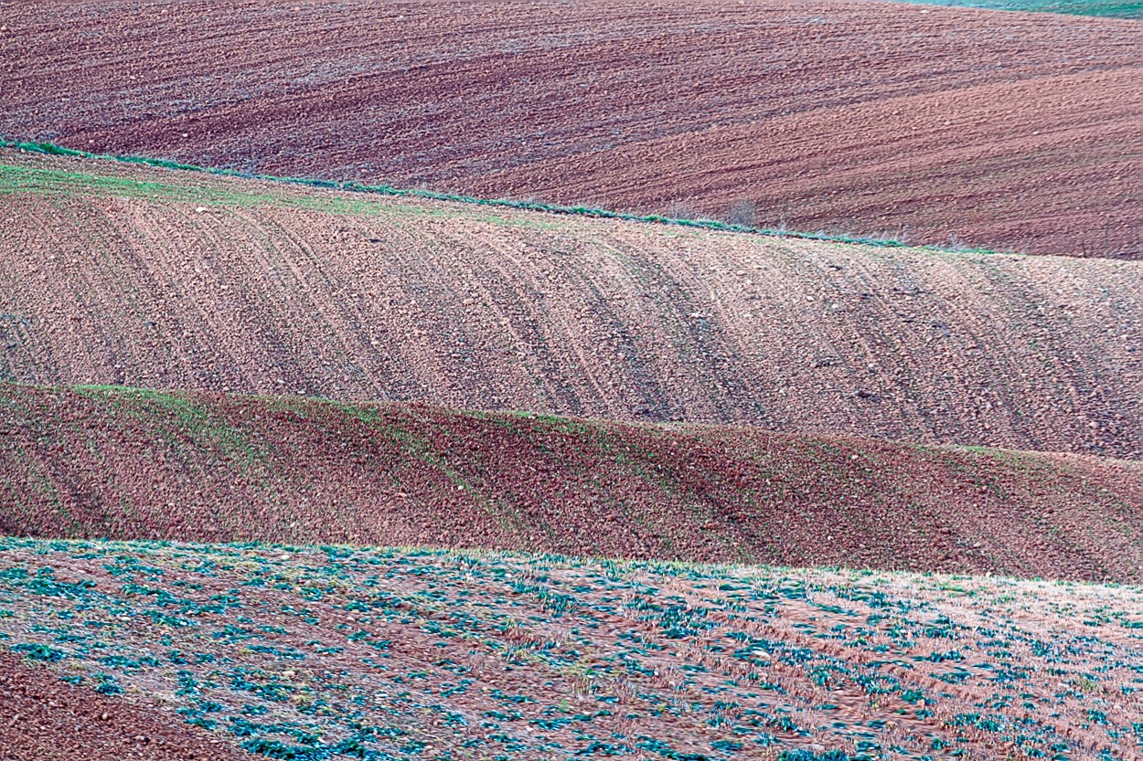 "Olas de tierra" de Angel Triana