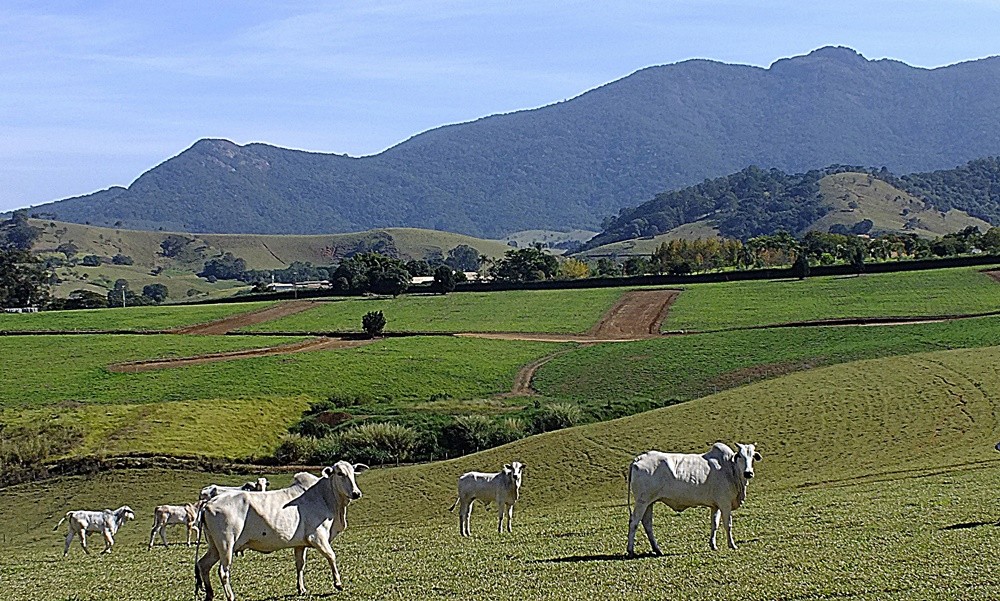 "Uma pausa na caminhada de tempos atras." de Decio Badari