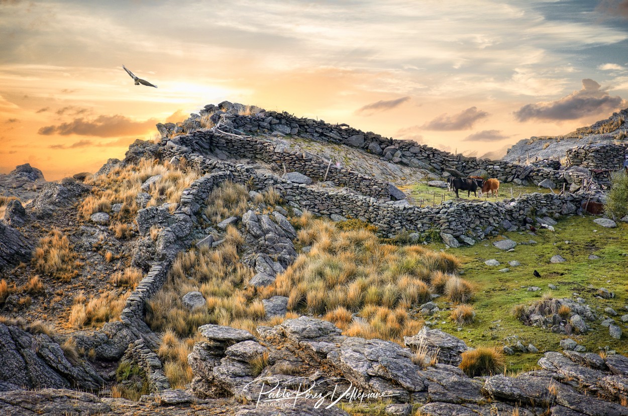 "Corral" de Pablo Perez Dellepiane