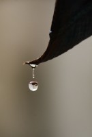 lluvia de cuarentena, recien en el patio