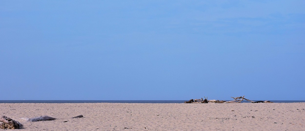 "Cuarentena horizontal" de Amelia Pascuali de Dios