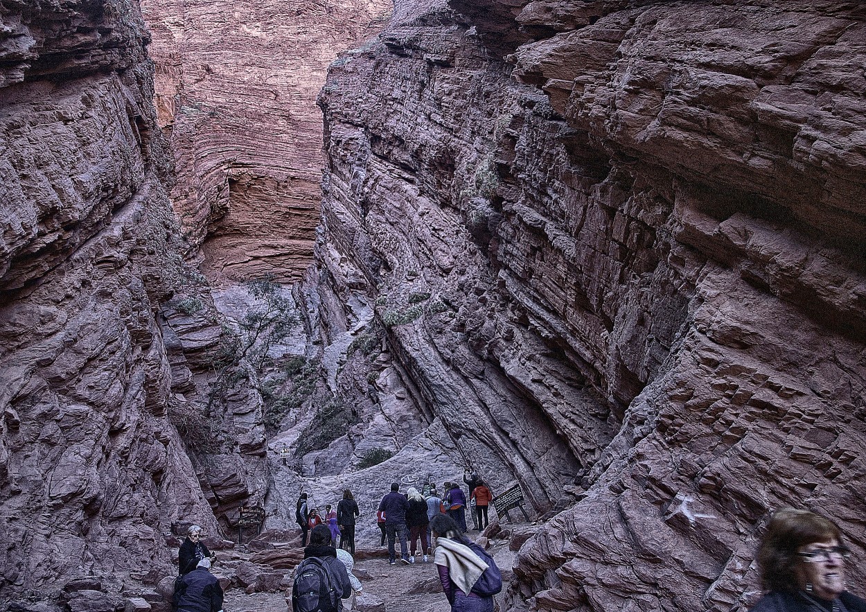 "Camino a Cafayate" de Roberto Bernabitti