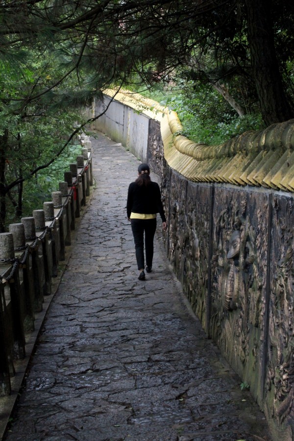 "Caminata junto al muro" de Francisco Luis Azpiroz Costa