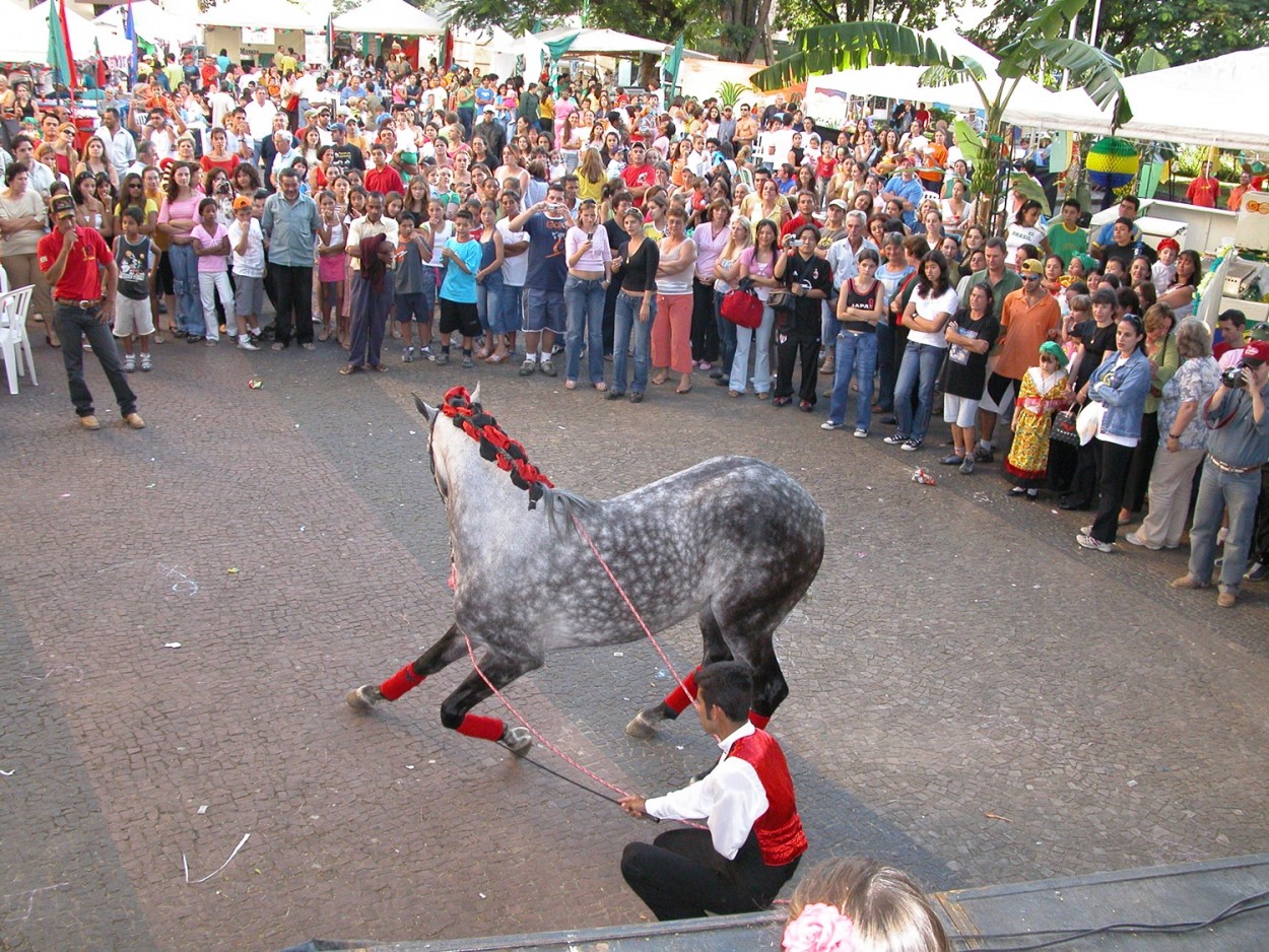 "Festa das Naes, uma das atraes!" de Decio Badari