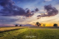 Siluetas al atardecer