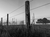 niebla pampa de la maana