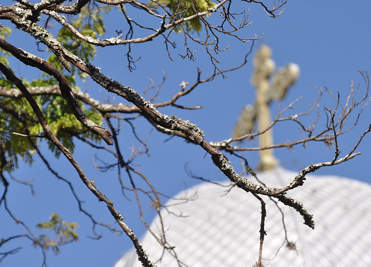 "Um olhar seletivo na cpula da nossa igreja." de Decio Badari