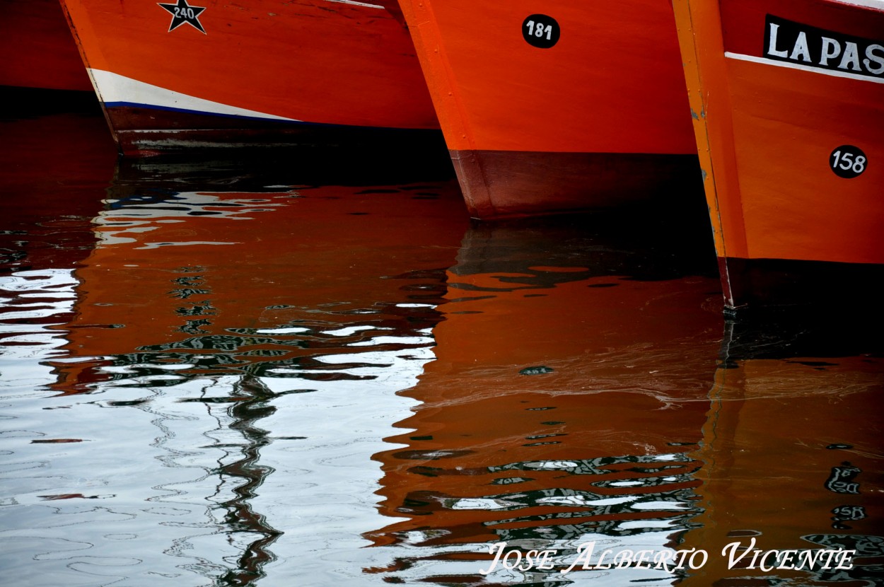 "reflejos" de Jose Alberto Vicente