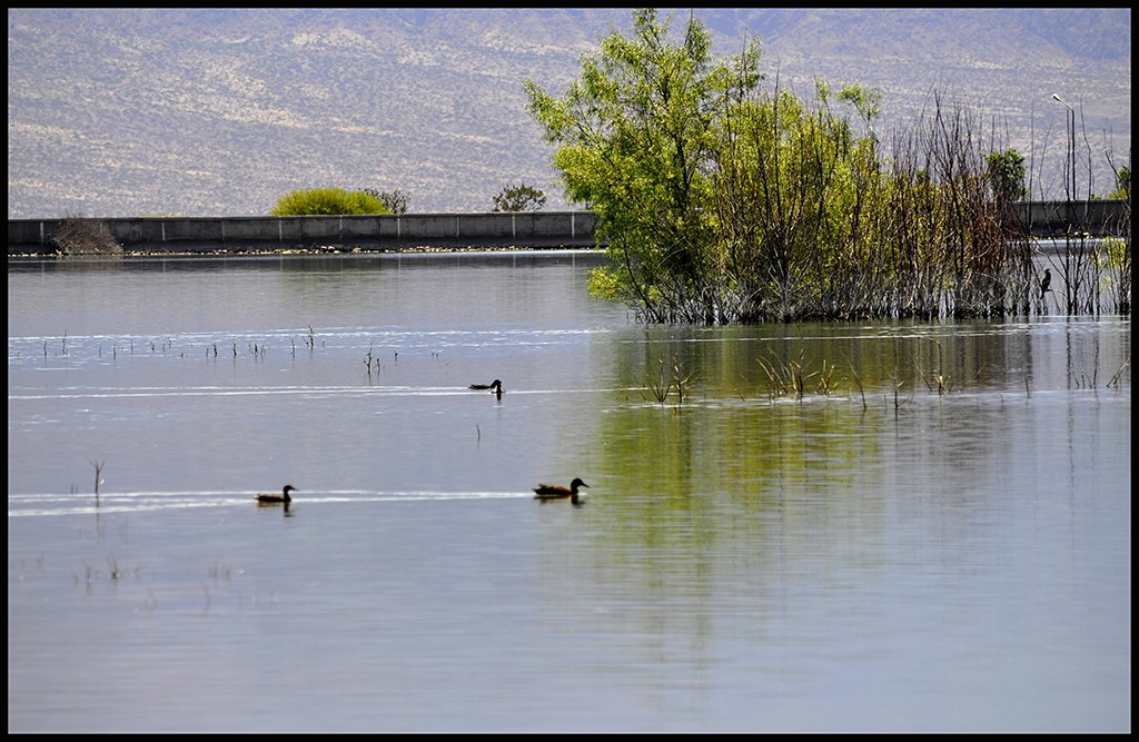 "Lago en la serrania" de Ruben Perea