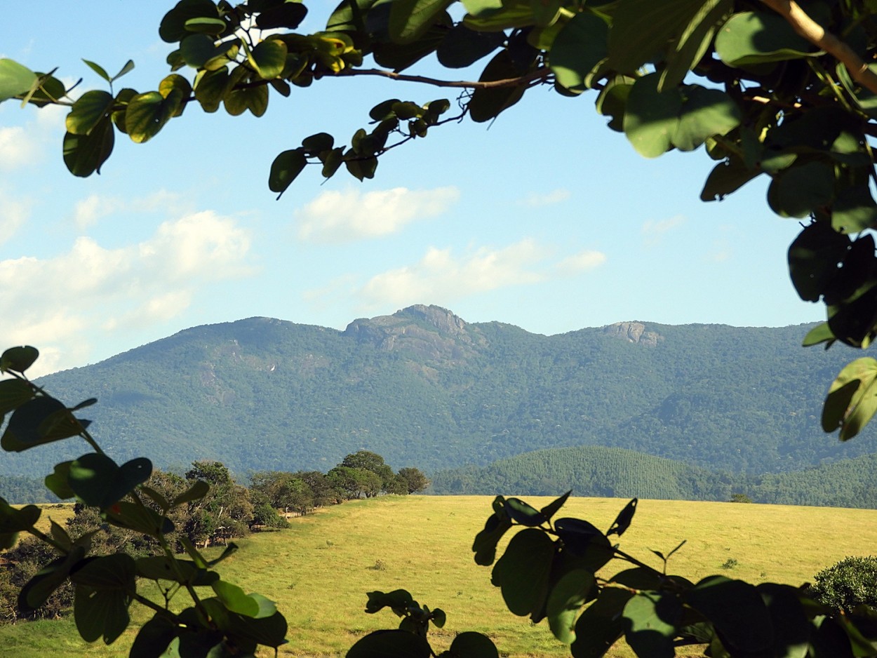 "Emoldurando a nossa Serra da Mantiqueira." de Decio Badari