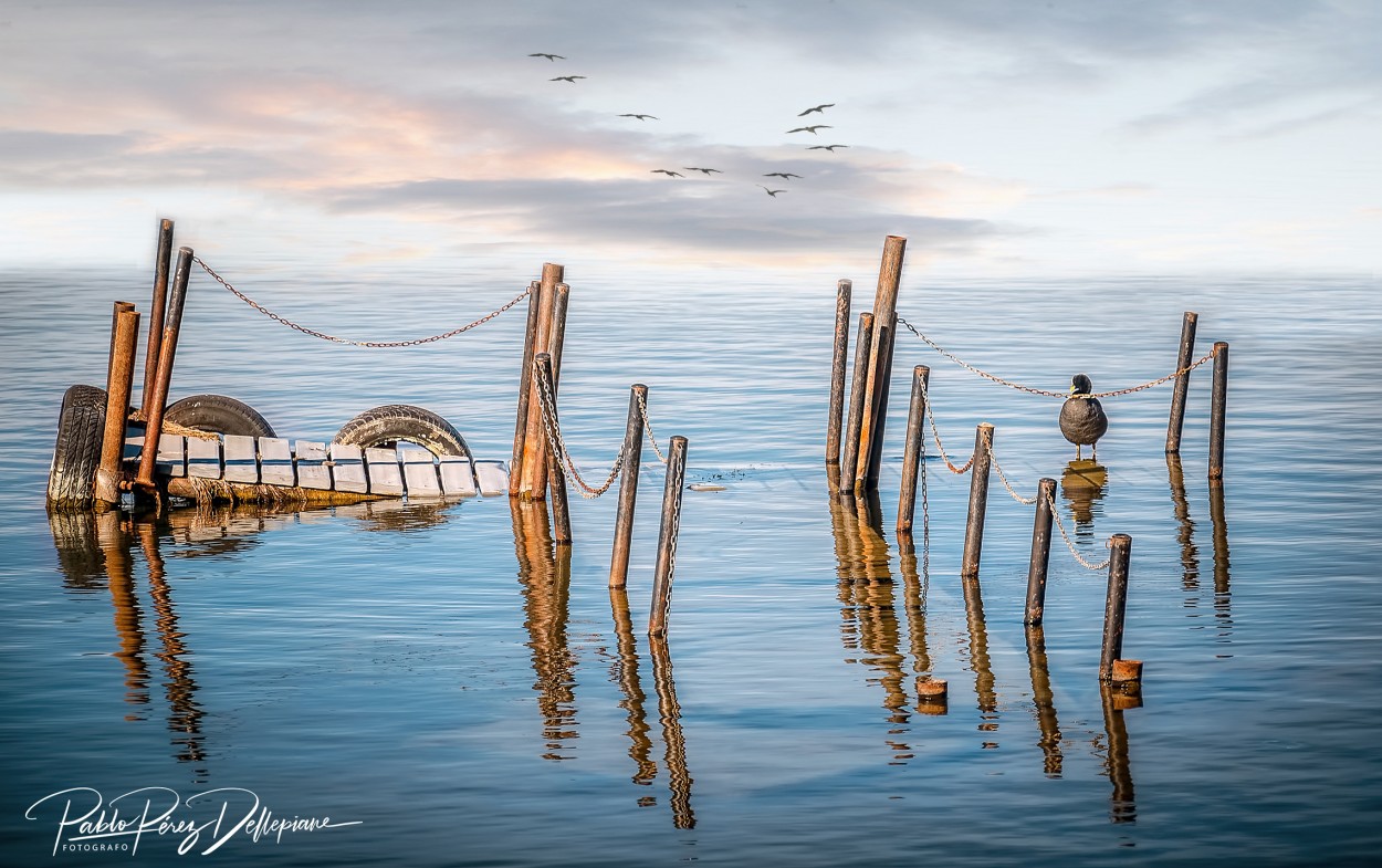 "El muelle" de Pablo Perez Dellepiane