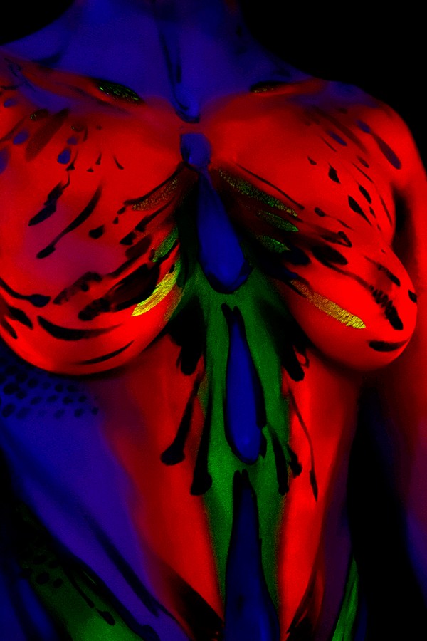 "Bodypainting" de Vanina Di Stasio